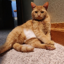 magik_man#2827's avatar