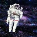 fatspacepanda