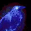 lcldavi