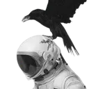 spacerox