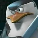 kowalskivibecheck