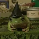 frogsmokinablunt