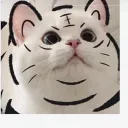 antb0t