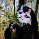 rosefey