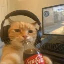 .mrmeowgi