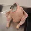 duckyourhead
