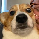 big_d_notnice