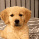 coopersully