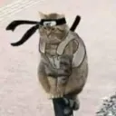 romedius