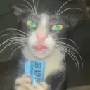 icyu