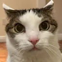 fluffmiceter