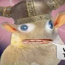 kibble_bites
