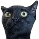 adragonhunter