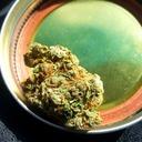 HoldMyWeed
