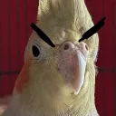darksonic22