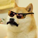 badoge