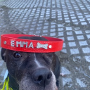 avatar german battle tank