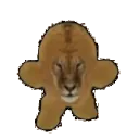 realseals