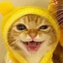 chaiinchomp