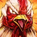 chickenusa