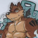 txtcoyotehehim