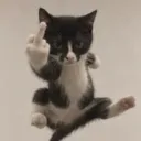 nevizen