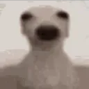 2blo