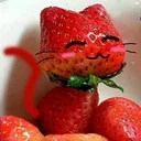 2d8r0743zcx3bgrxta7q0wgw1l14kuy