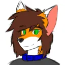 .remithefox