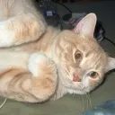 maxaye. avatar