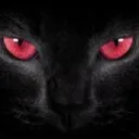darkmetalraven