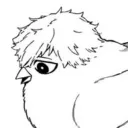 noahgmr