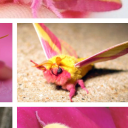 avatar aries.moon.punk