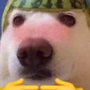 thomeryc