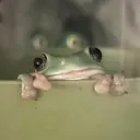 mommymilkies