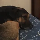 mmemph