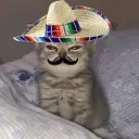 jayspacecat