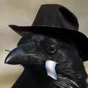 blujei