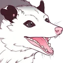 theopossumwitch