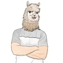 thealpacalypse