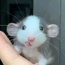 a_peachuu