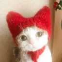 bingbxng