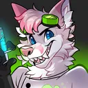 n2othefox