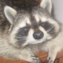 avatar rina •ᴗ•