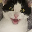 katomil