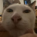 cosmen2722#4697's avatar