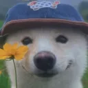 yoshihiko