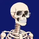 bifusse