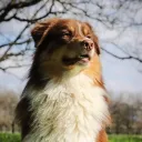 dagrumpy
