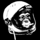 bonsai's Avatar